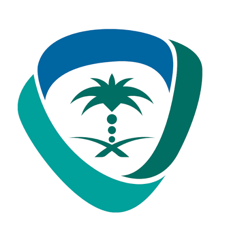 Saudi Authority for Intellectual Property (SAIP)